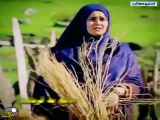استوری عاشقانه مادر