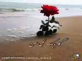 کلیپ‌زیبا برای شما