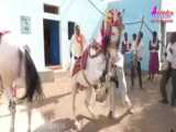 اسب دستی
