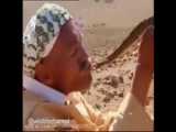 بین فقط