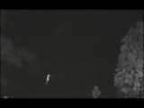 فیلم سقوط و انفجار ماهواره های استارلینک در آسمان را تماشا کنید!