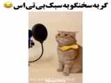 گربه ی بامزه و کوچولو من به خونه خوش اومدی