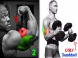 Sited dumbbell curl on inclined bench/جلو بازو دمبل رو میز شیبدار