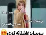ستاره شمالى