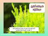 روغن درخت چای روغنگیری سینوهه