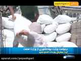 تشریح برنامه‌های وزارت جهاد برای برقراری آرامش بازار مرغ