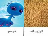 عالیهههه