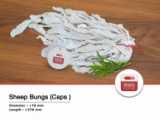 Sheep Bungs ( Caps ) آسیل گوسفندی