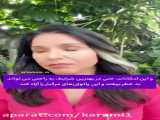 تبریک سال 1401