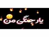کلیپ  ماشین
