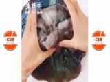 اسلایم های میوه ای