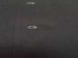 مرغ عشق چه مناسب است