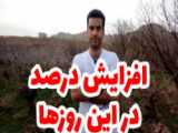 فوتبال ایران