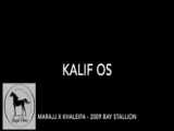 کالیف من ریاضی