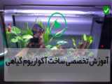 اکواریوم گیاهی pelant