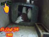 سینمایی قرمز شدن