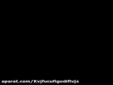 تیک تاک از تامایو