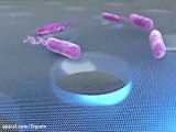 ضبط صدای باکتری توسط دانشمندان(کشف پزشکی)