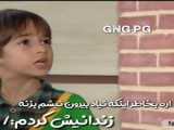 چالش های خنده دار با سگ های ناز