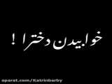 لیدی باگ و کتنوایر