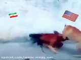 بنظر شما آیا ایران می‌تواند با آمریکا بجنگند