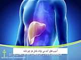 پیشگیری بیماری کبد چرب طوطی کاسکو