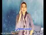 شیر و گربه