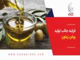 روغنگیری زیتون