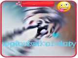 اموزش بازی ی ساکورا