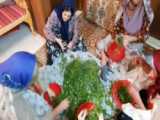 کارتون لیدی باگ فصل ۱ قسمت ۲ بخش ۱۰