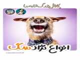 اواع کیک های زیبا