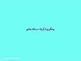 در خانه بمانيم!