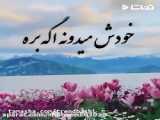 چشم آهو تویی || آهنگ زیبا ||  آهنگ عاشقانه || کلیپ زیبا || کلیپ عاشقانه