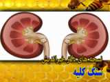پودردافع؛محصولات سلامت09334911527