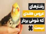 آموزش مدل مو  ساده برای عروس