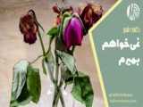 از داوری کریمی تا توافق مجیدی | رادیو مهرآوا