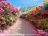 عکس های کیوت دخترانه