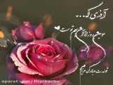  تولد کلیپ