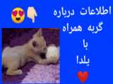 اولین پسن