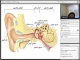 آشنایی با کودکان استثنایی که نیازهای خاص دارند