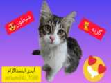 سریال ستایش3 قسمت هشتم
