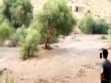 ویدیویی وحشتناک از لحظات اولیه سیل در  شهرستان استهبان فارس