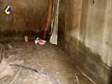آفت دلال بازی و فاسد شدن خرماها بر اثر بارندگی در سرباز بلوچستان