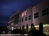UFC San Diego: Vera vs Cruz - August 13 | Fight Promo