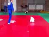تابلوفرش ماریوس جودوکا Marius Vizer Judoka