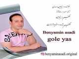 تصاویر گل های زیبا