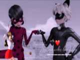 Miracles Grunch Adrien And black cat like ?