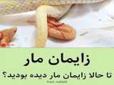 پیج مار دنبال کنید