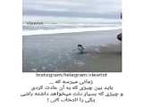 مبارک مدرسه ها باز شد