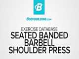 جابه‌جایی شانه  Shoulder Dislocation Stretch-Dowel